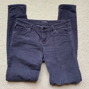Express Corduroy Pants - Size 2